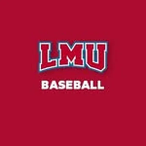 @lmulionsbsb profile image