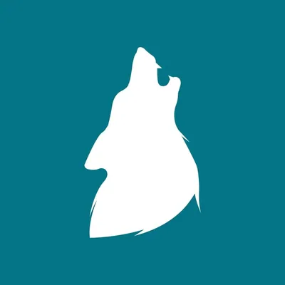 @lo_spirito_guida profile image