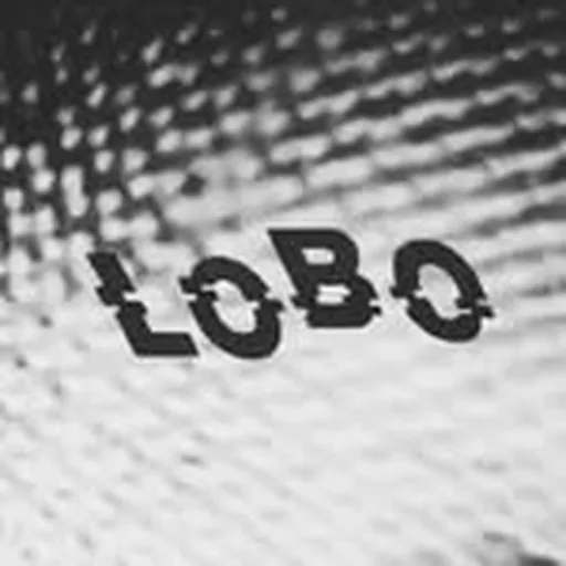 @lobosound profile image