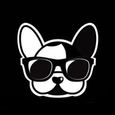 @lojapopdog profile image
