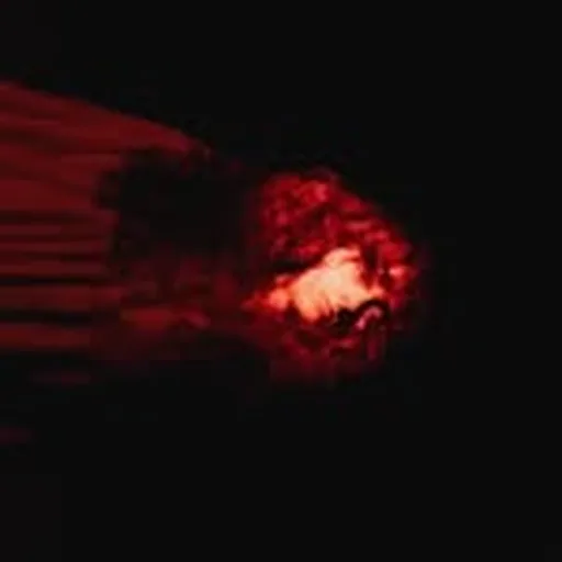 @loramouna profile image