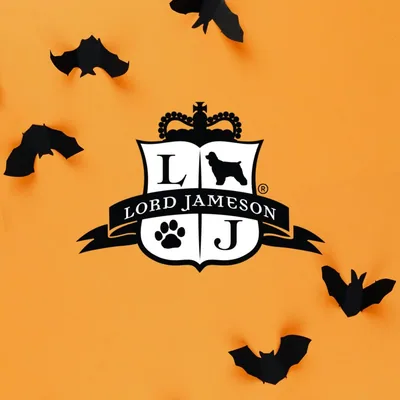 @lordjameson profile image