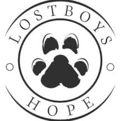 @lost_boys_hope profile image