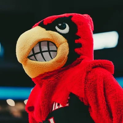 @louiethecardinal profile image