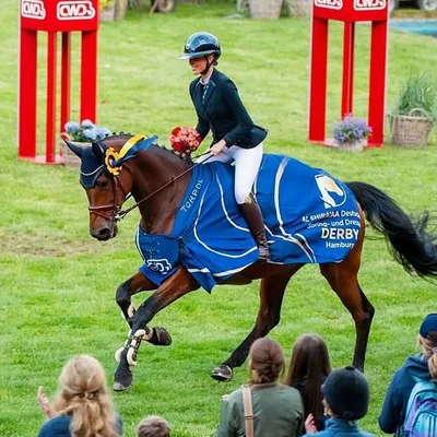 @louisa.showjumper profile image