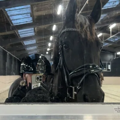 @loutsieex profile image