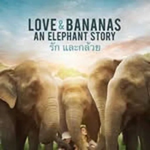 @loveandbananasmovie profile image