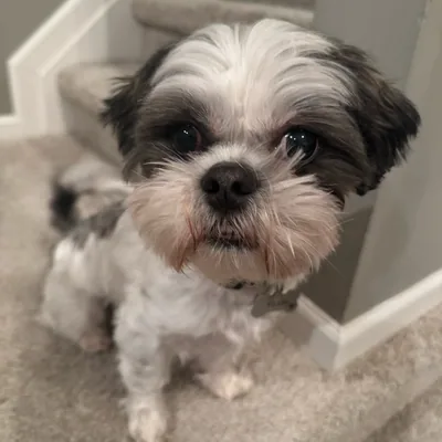 @lovefromyoshi profile image