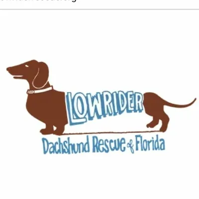 @lowriderrescue profile image