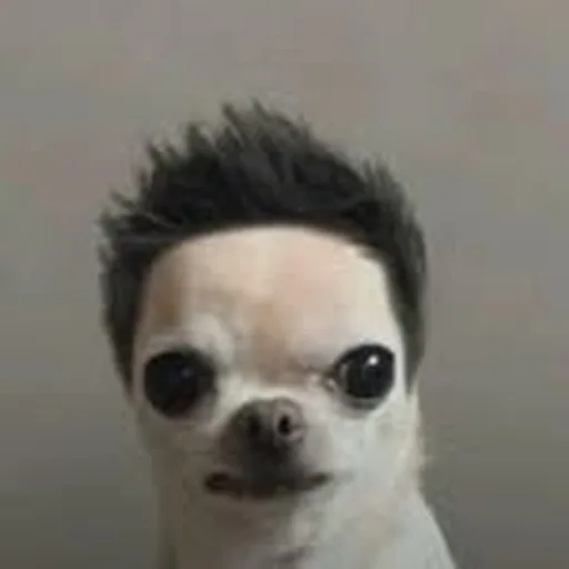 @lsdxoxo profile image