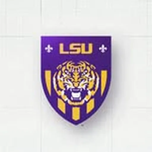 @lsusoccer profile image