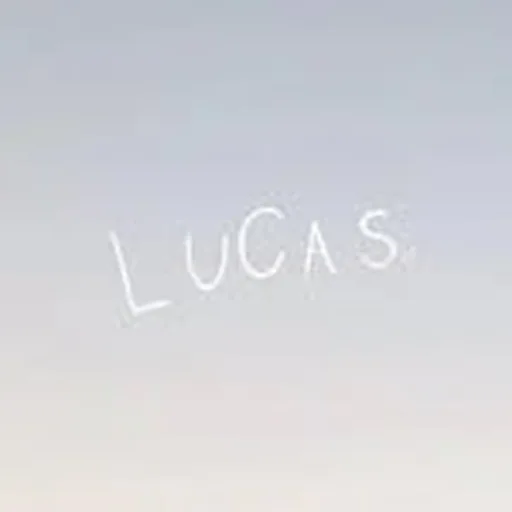 @lucasduaart profile image