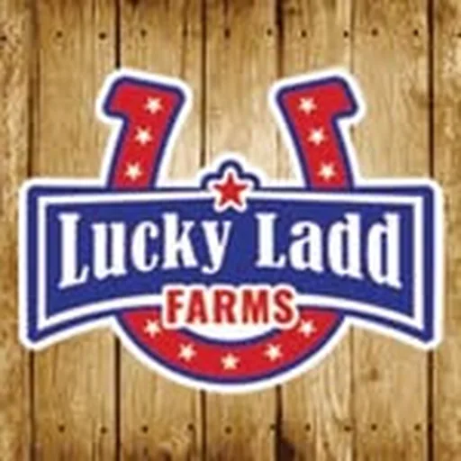 @luckyladdfarms profile image