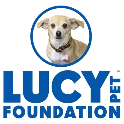 @lucypetfdn profile image