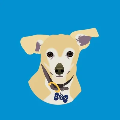 @lucypetfoods profile image