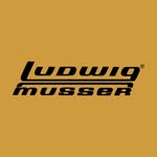 @ludwigmusser profile image