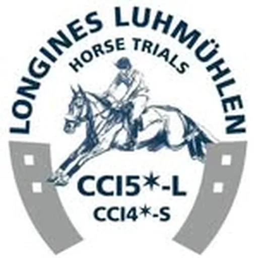 @luhmuehlen profile image