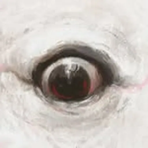 @luigimiano profile image