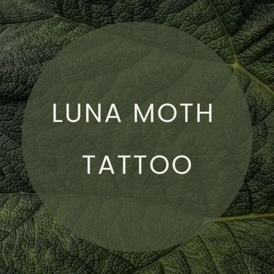 @lunamoth.tattoo profile image