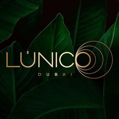 @lunico_ae profile image