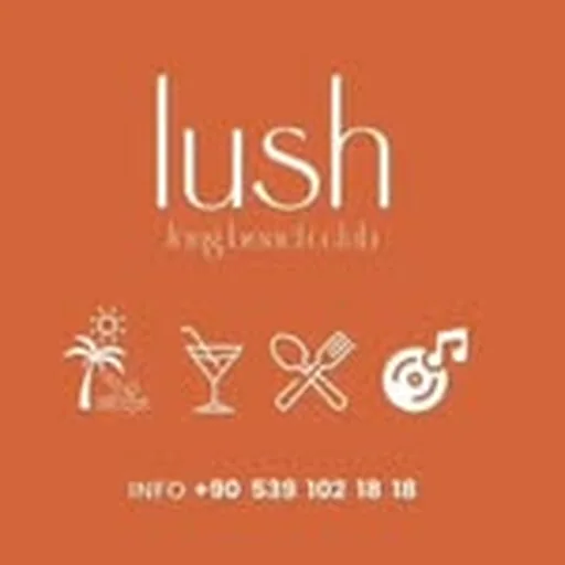 @lushlongbeach profile image