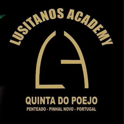 @lusitanos_academy profile image
