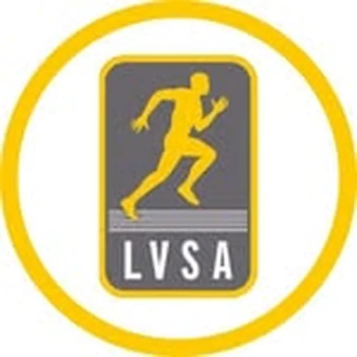 @lvsa_online profile image