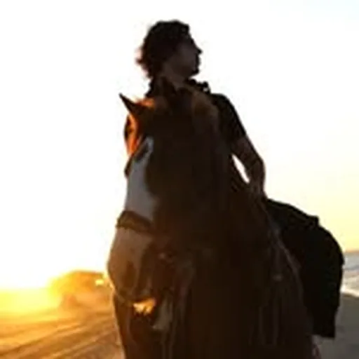 @lyke_music profile image