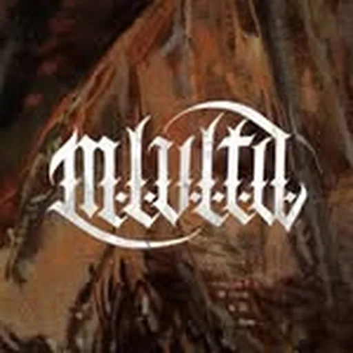 @m.l.v.l.t.d profile image