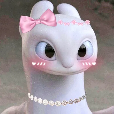 @mabelmingg profile image
