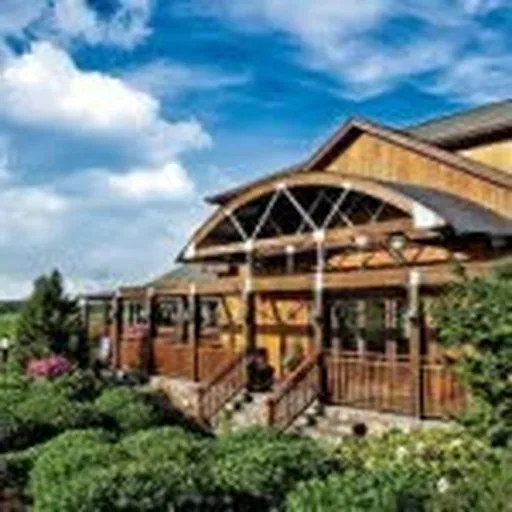 @macariwines profile image