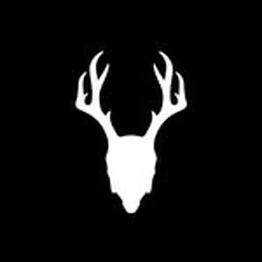 @madrabbit profile image