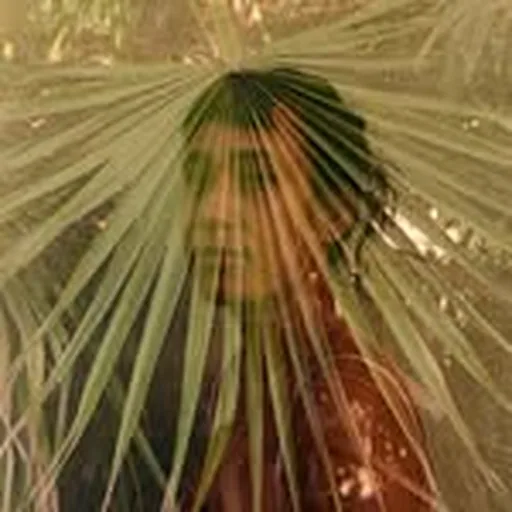@maeamaria profile image