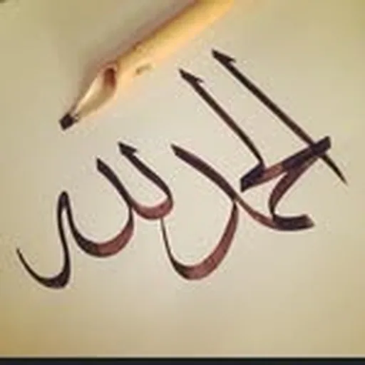 @mafaresh7 profile image
