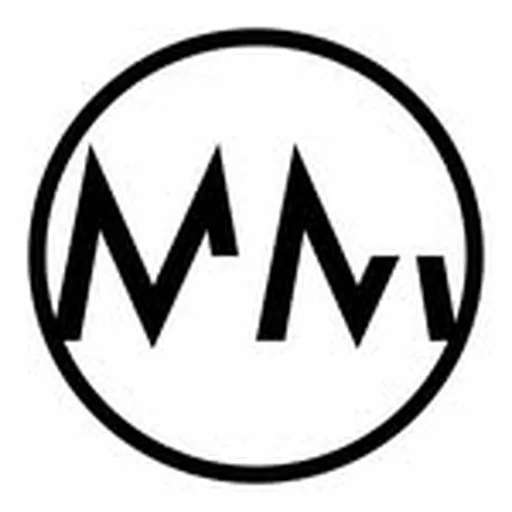@magnitude.models profile image