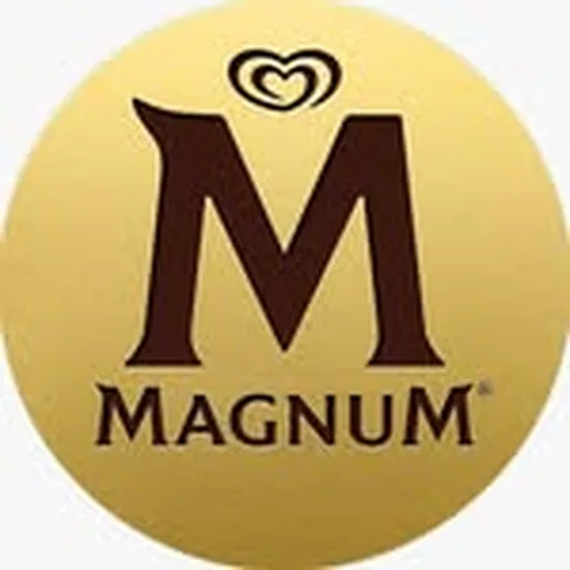 @magnumbr profile image