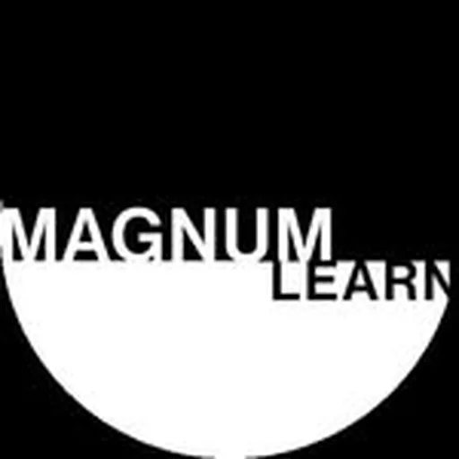 @magnumlearn profile image