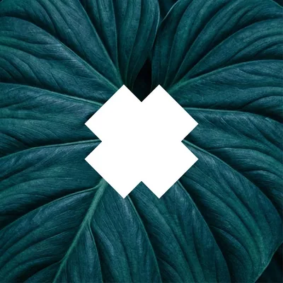 @main_lxb profile image