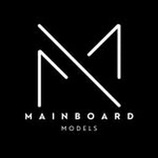 @mainboardmodels profile image