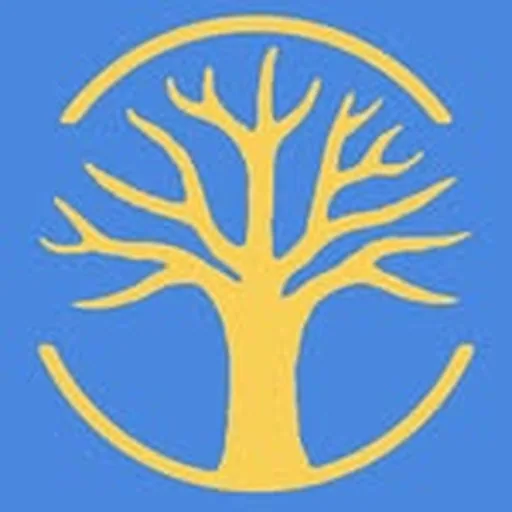 @maiorqueotempo profile image