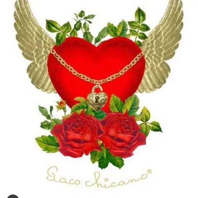 @maisonpacochicano profile image