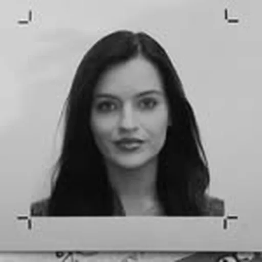 @majipres profile image