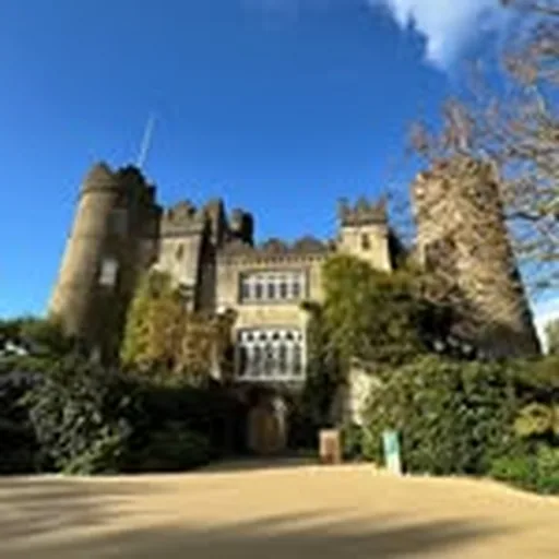 @malahidecastle profile image