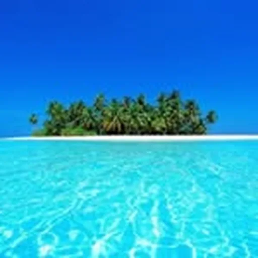 @maldives profile image