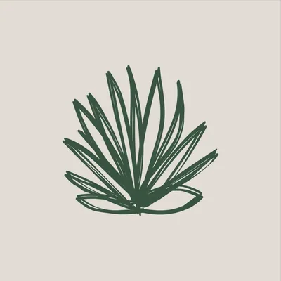 @malezaps profile image