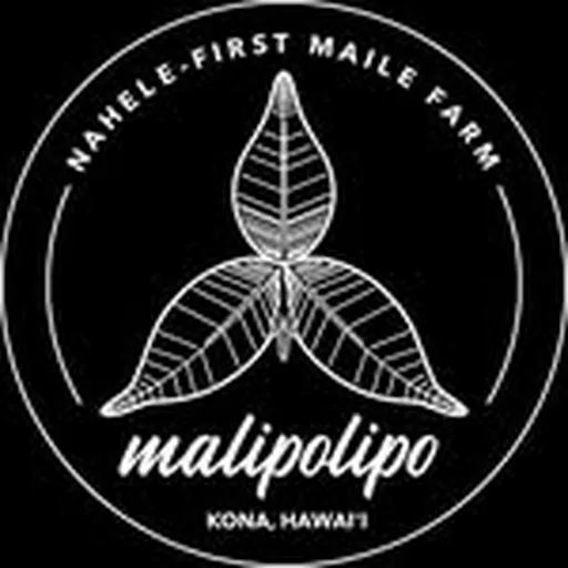 @malipolipo profile image