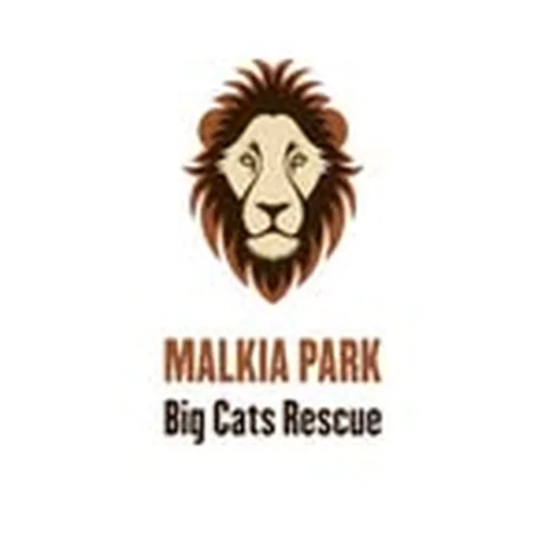 @malkiapark profile image