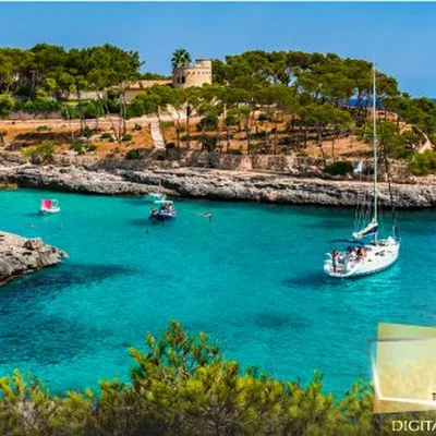 @mallorcaofficial profile image