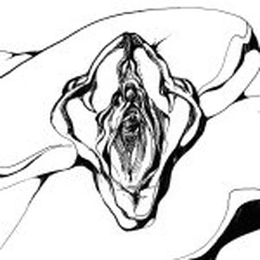 @mamba.n profile image