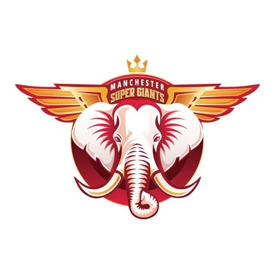 @manchestersupergiants profile image